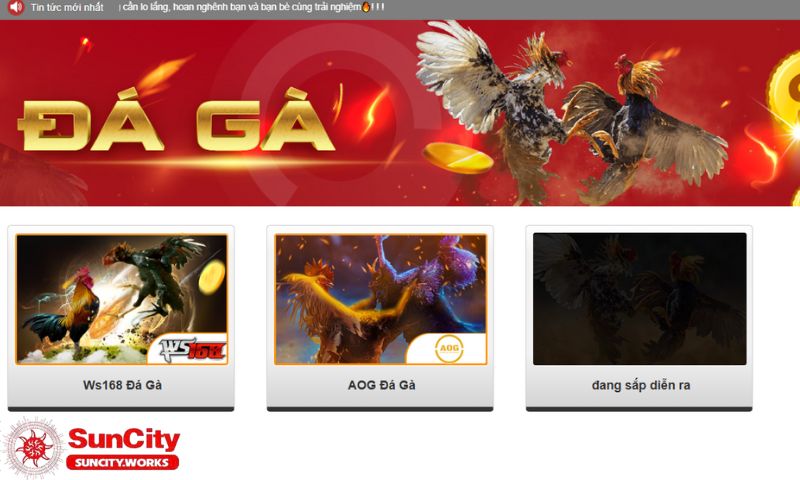 Hai-san-choi-da-ga-uy-tin